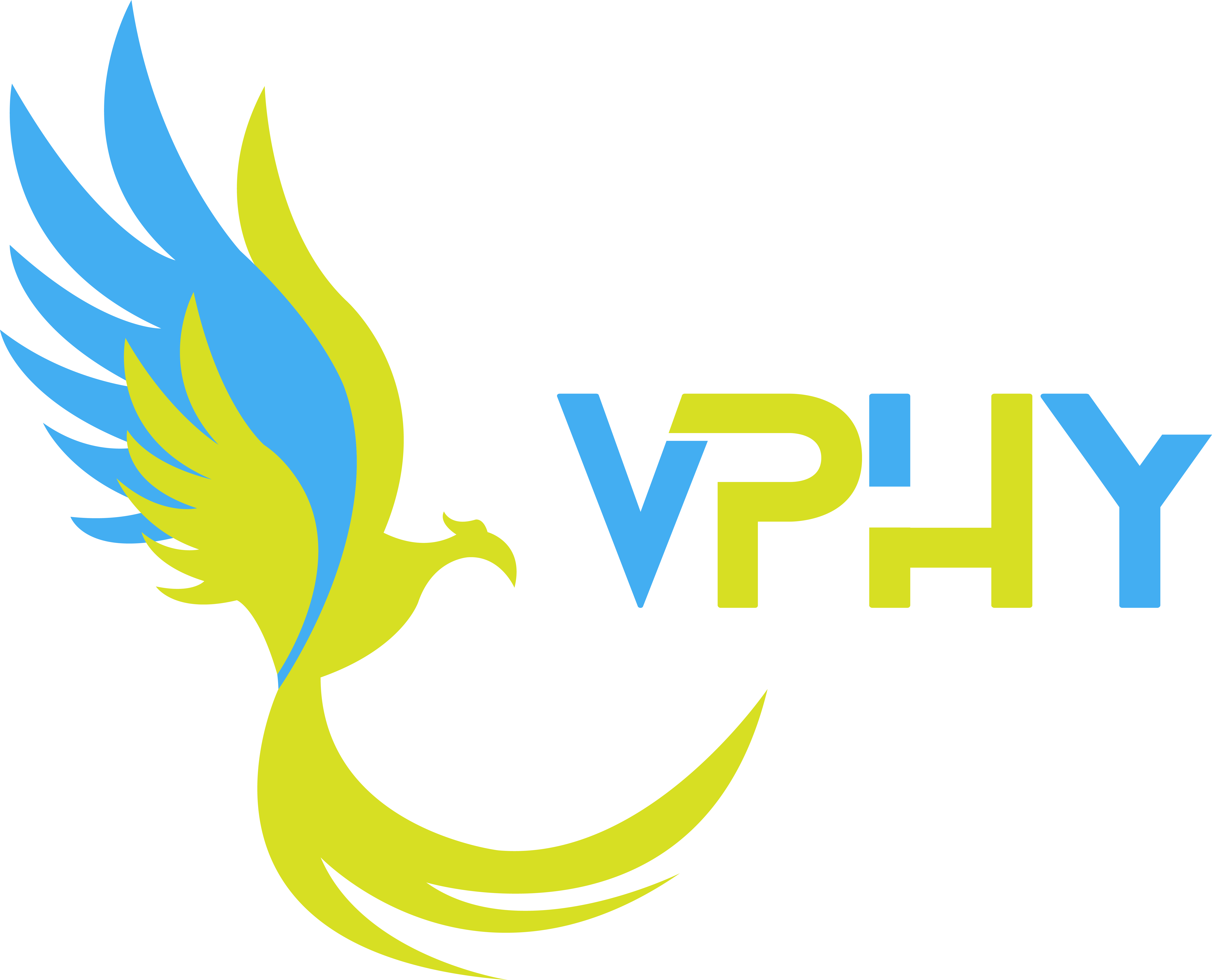 VPHY Logo